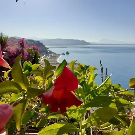 Serena Vietri sul Mare